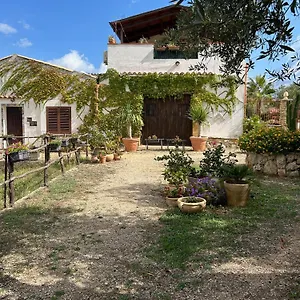 Casa Degli Ulivi 21 Casa vacanze
